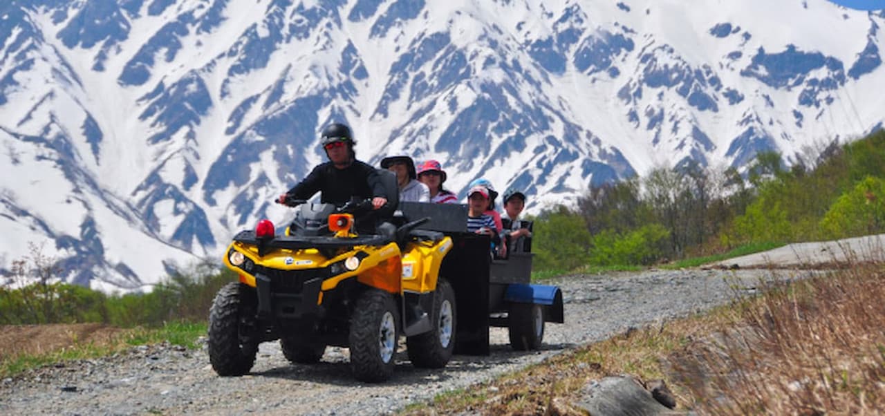 Hakuba Iwatake Mountain Resort - image 8
