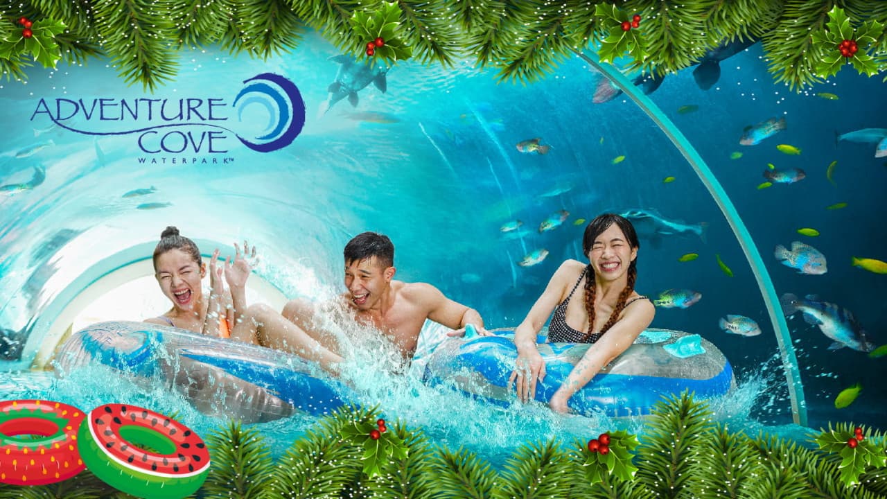 Adventure Cove Waterpark Ticket - image 2