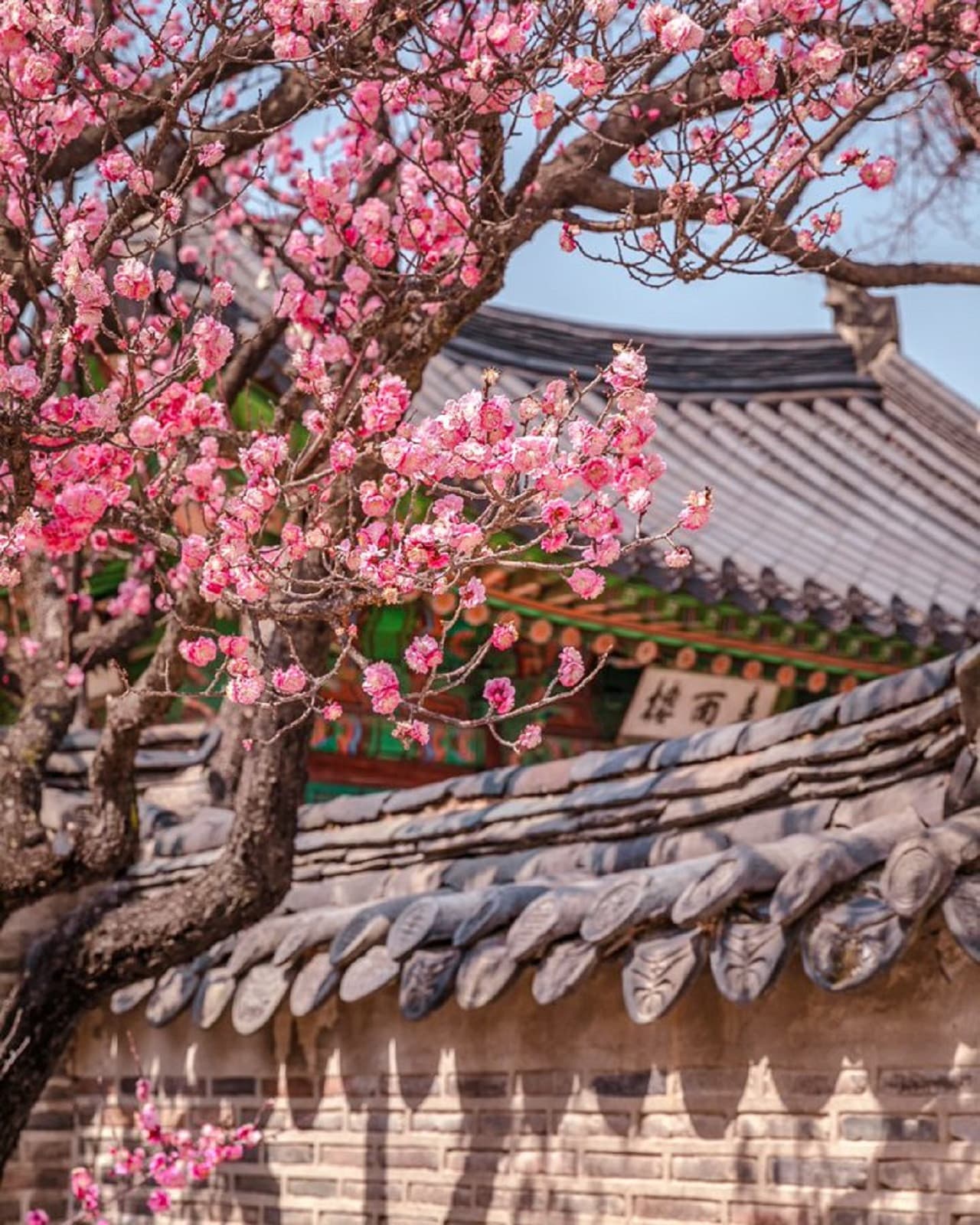 Discover Seoul Pass - image 17