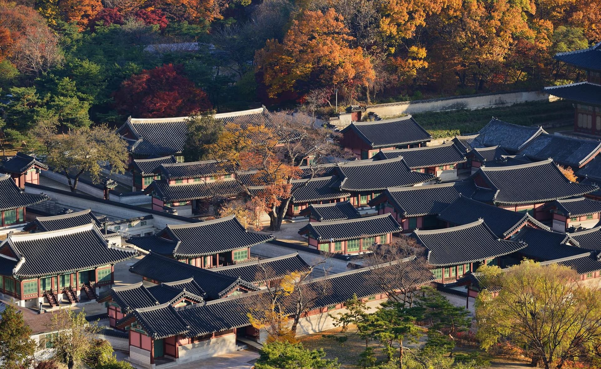 Discover Seoul Pass - image 14