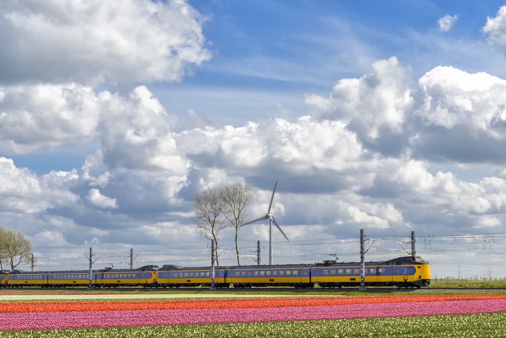 Interrail Global Pass Flex (Non-Consecutive Days) - image 3