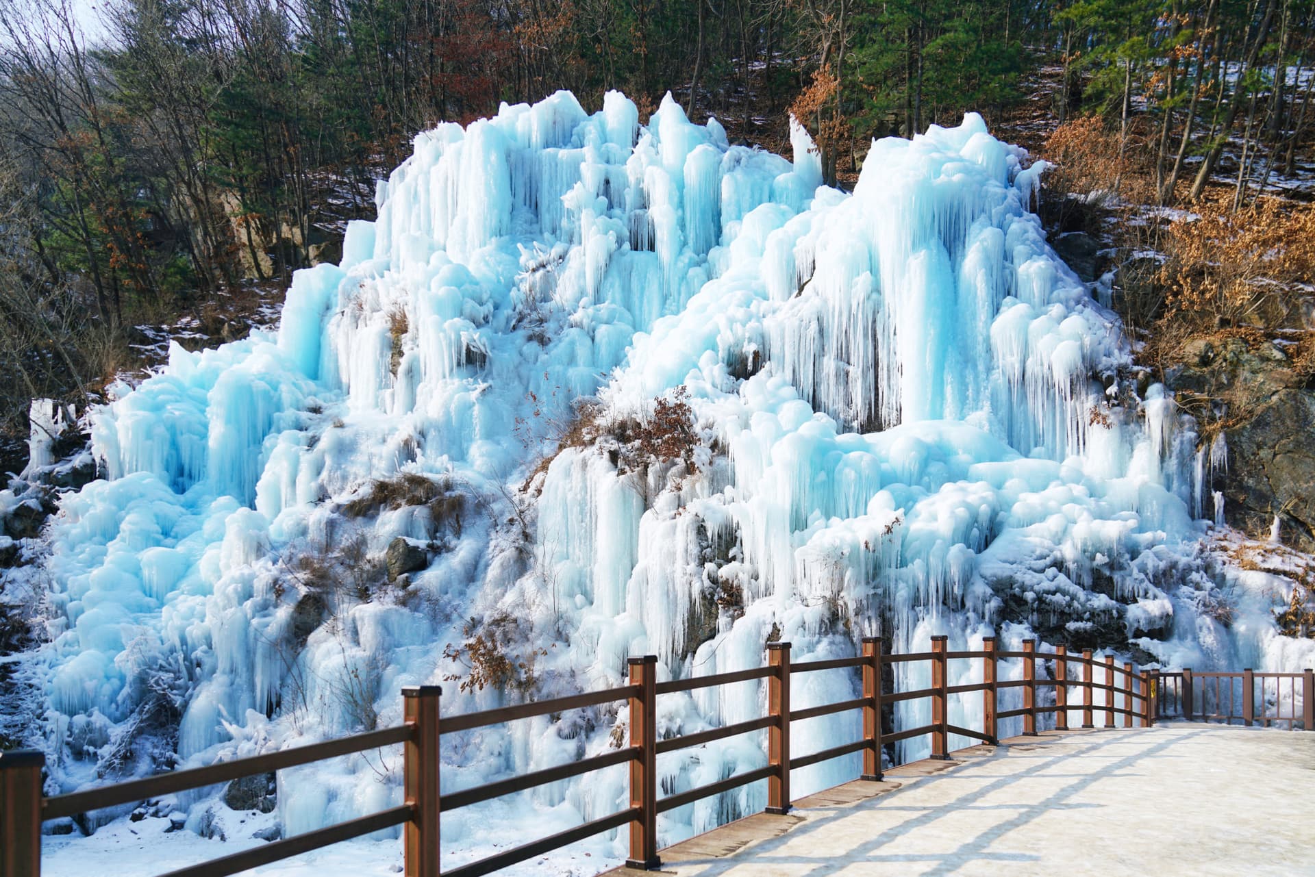 Nami Island, Petite France, Italian Village, and Garden of Morning Calm Tour from Seoul - image 11